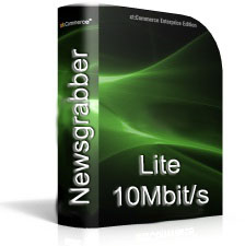 Usenet Lite 10Mbit